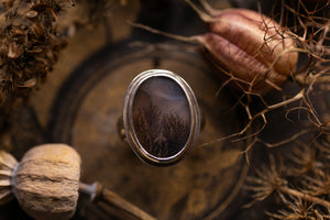 Rockpool rings with Dendritic agate