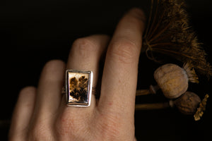 Rockpool rings with Dendritic agate