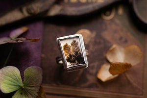 Rockpool rings with Dendritic agate