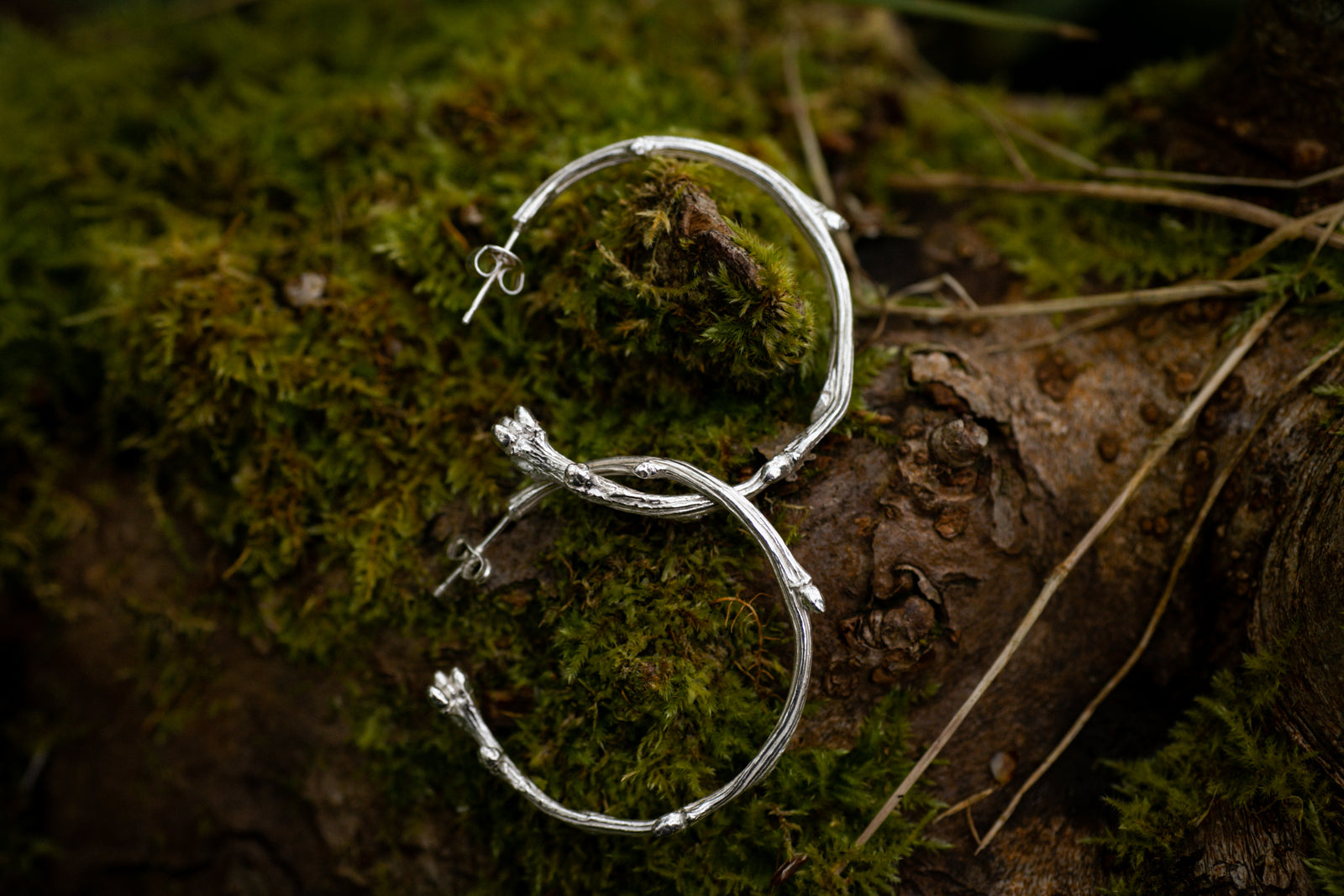 Sterling silver Oak twig hoops ~ for Growth & Patience