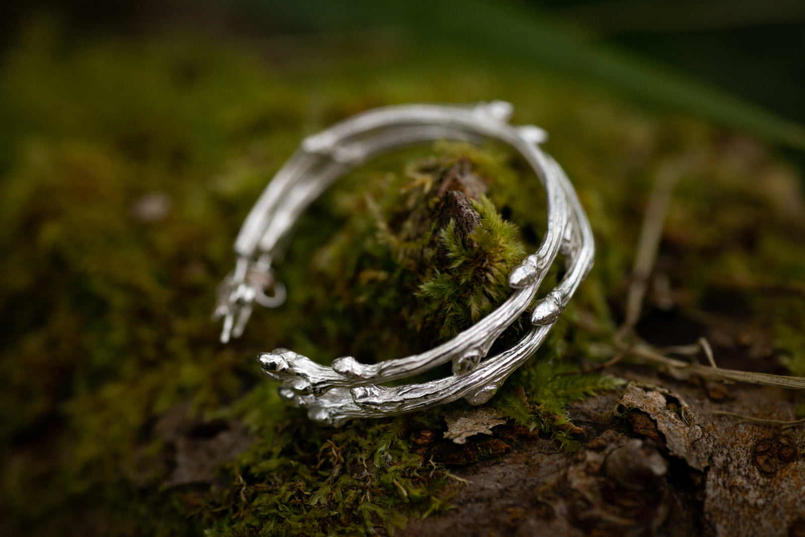 Sterling silver Oak twig hoops ~ for Growth & Patience