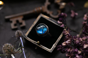 Labradorite & Golden rutile doublet ring