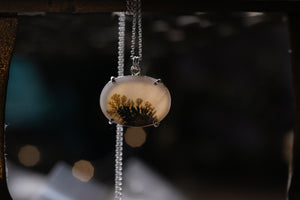 Claw set Dendritic agate pendant #1