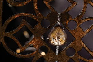 Claw set Dendritic agate pendant #6