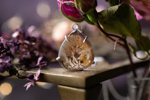 Claw set Dendritic agate pendant #6