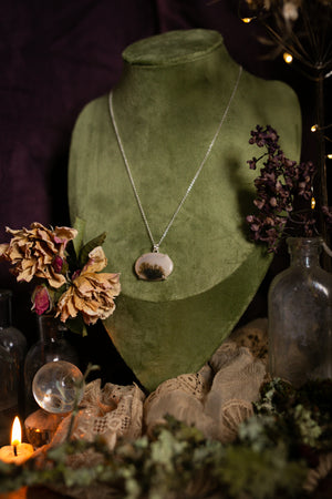 Claw set Dendritic agate pendant #1