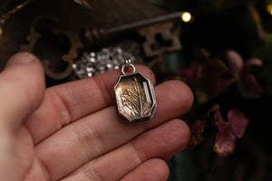 Hawthorn shadow box ~ For Hope & New Beginnings