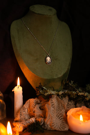 Hawthorn shadow box ~ For Hope & New Beginnings