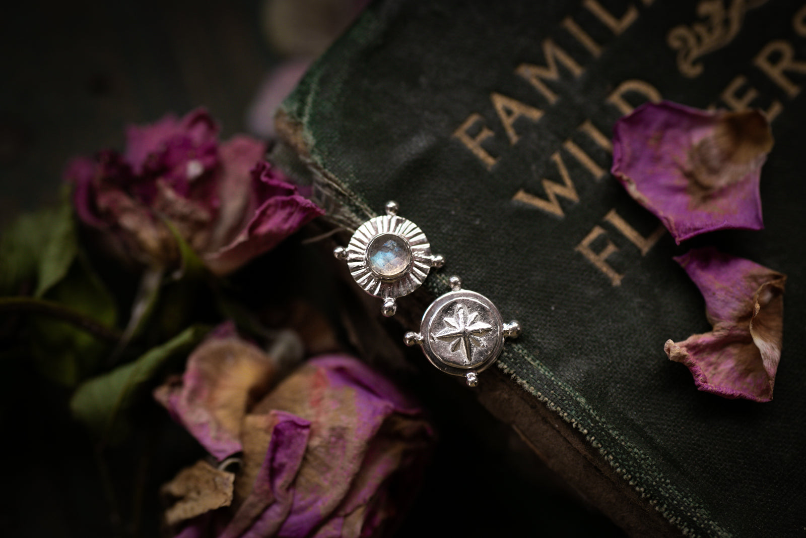 Labradorite & North star stud earrings