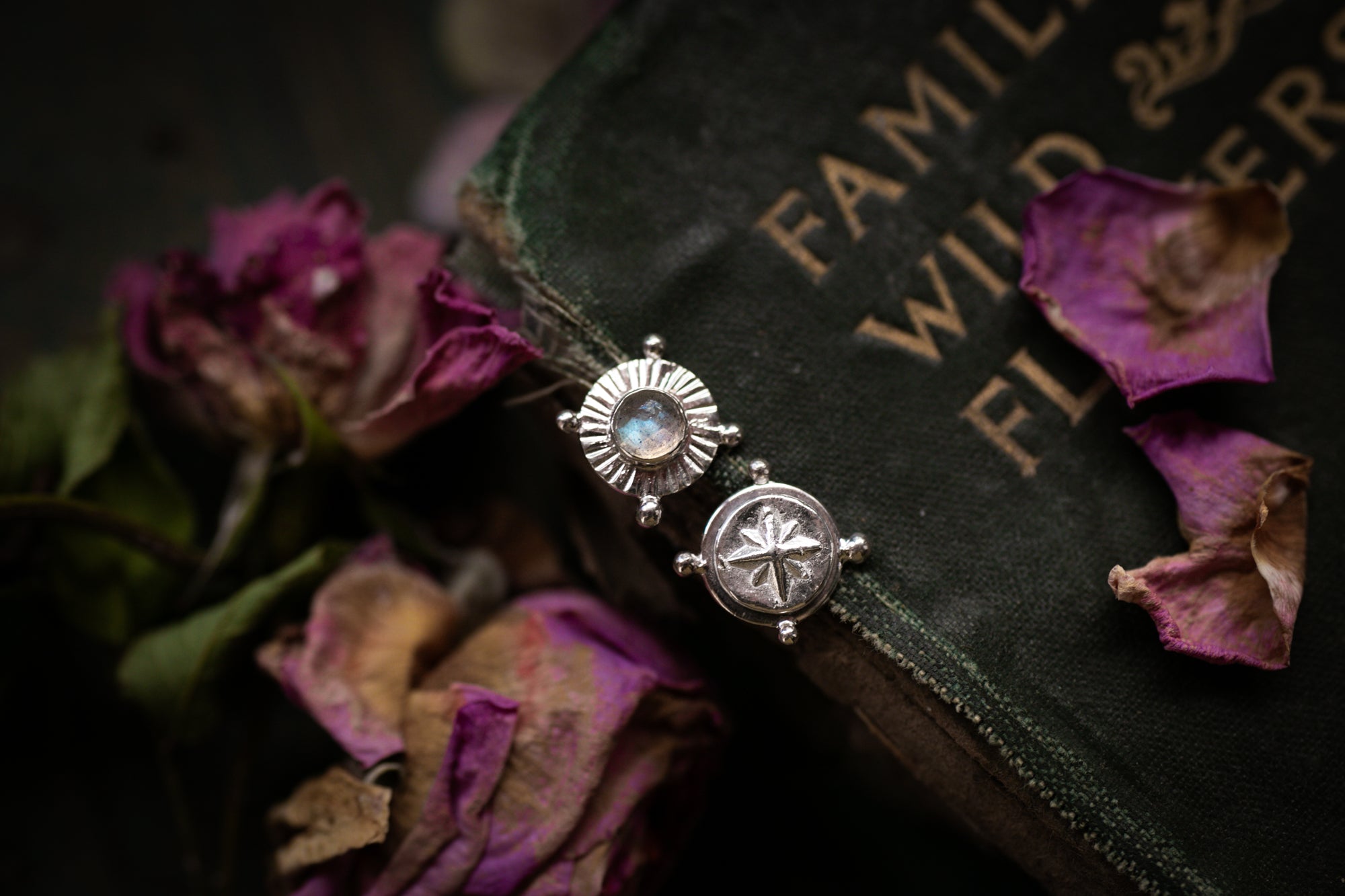 Labradorite & North star stud earrings