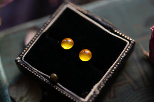 Sunny yellow real Buttercup stud earrings