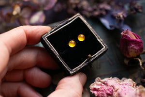 Sunny yellow real Buttercup stud earrings