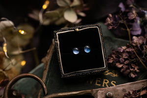 Dainty blue hydrangea petal studs