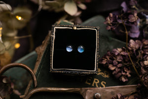 Dainty blue hydrangea petal studs
