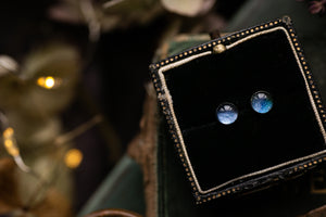 Dainty blue hydrangea petal studs