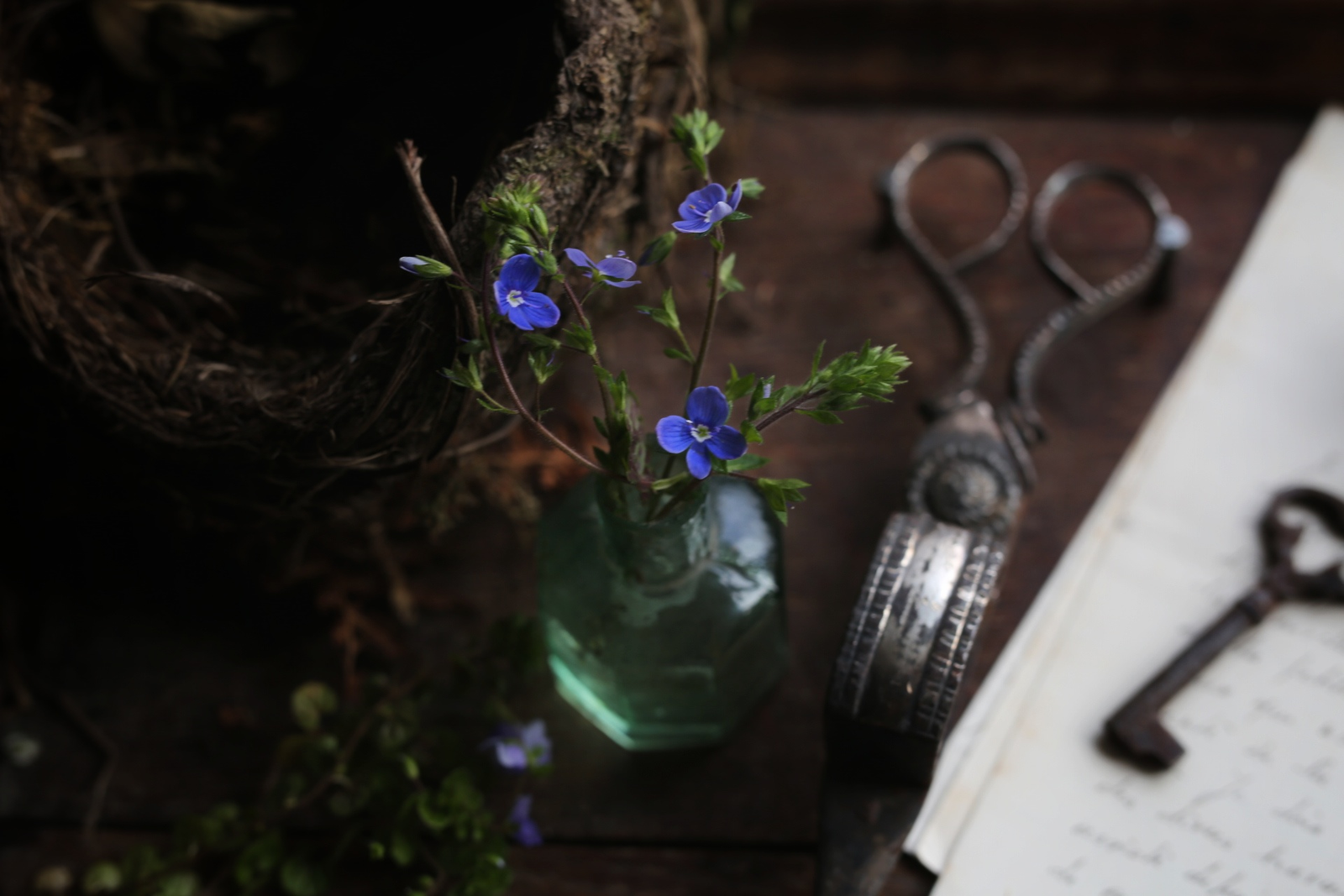 Magical Eco-Resin Jewelry Encapsulates Ireland's Wildflowers