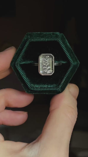 Fern shadowbox ring