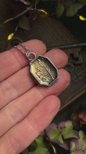 Hawthorn shadow box ~ For Hope & New Beginnings