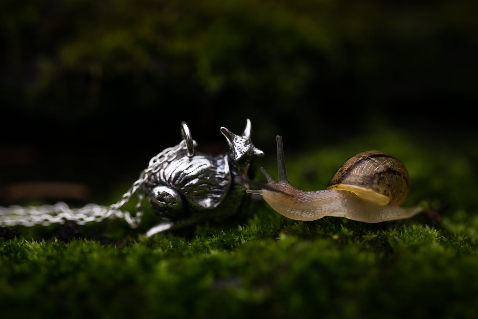 Miniature silver snail necklace