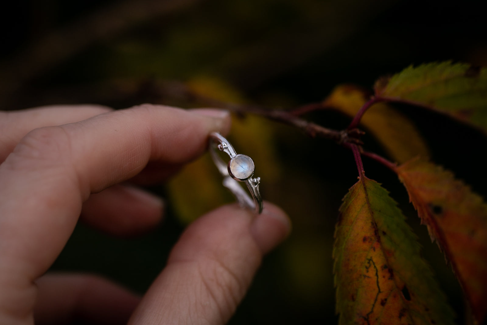 Hawthorne and Moonstone ring