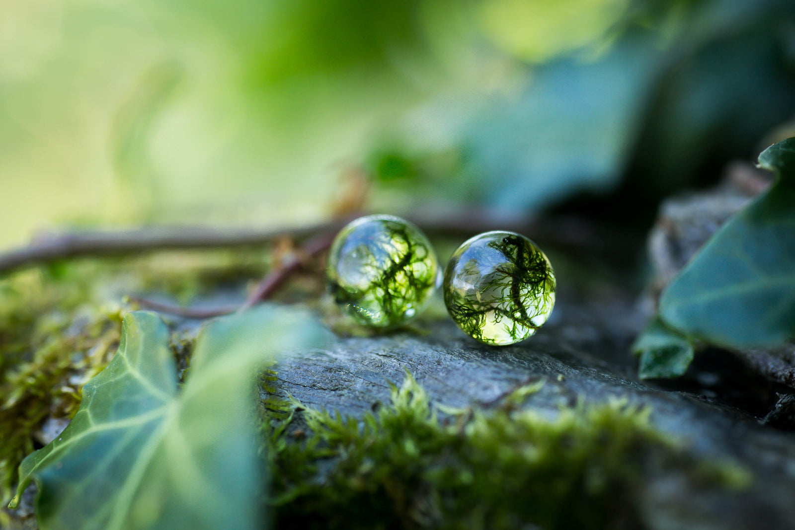 Dark green Irish moss studs