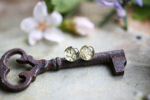 Dainty earring studs with white flowers